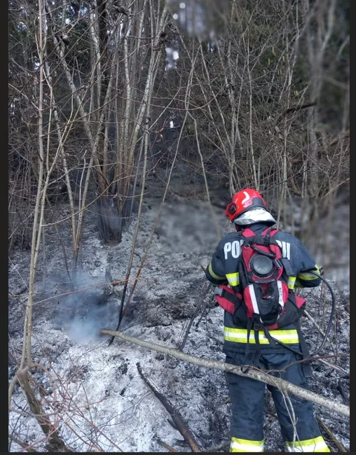 Incendii de vegetație în doua județe