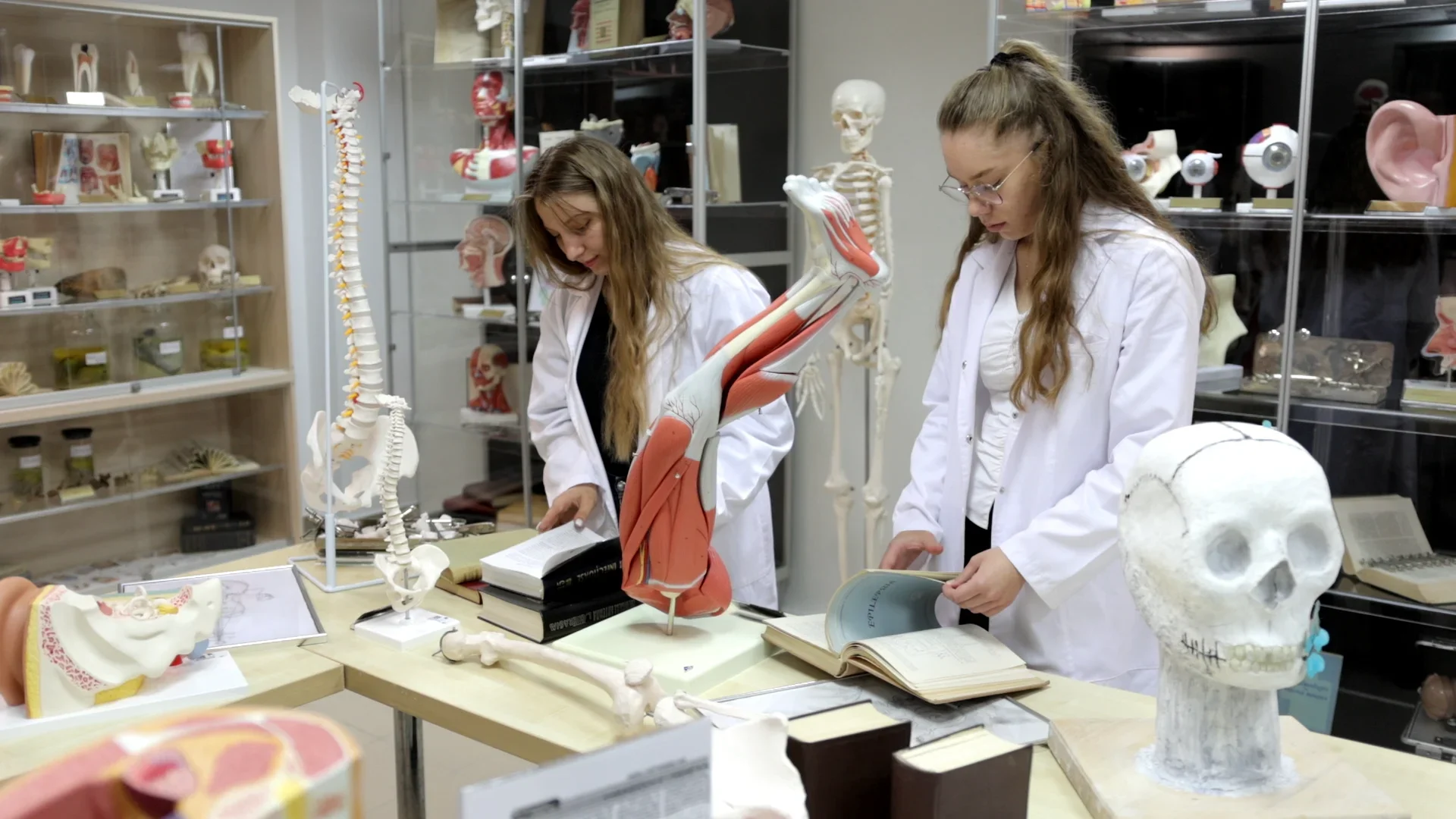 USV oferă pregătire gratuită la anatomie