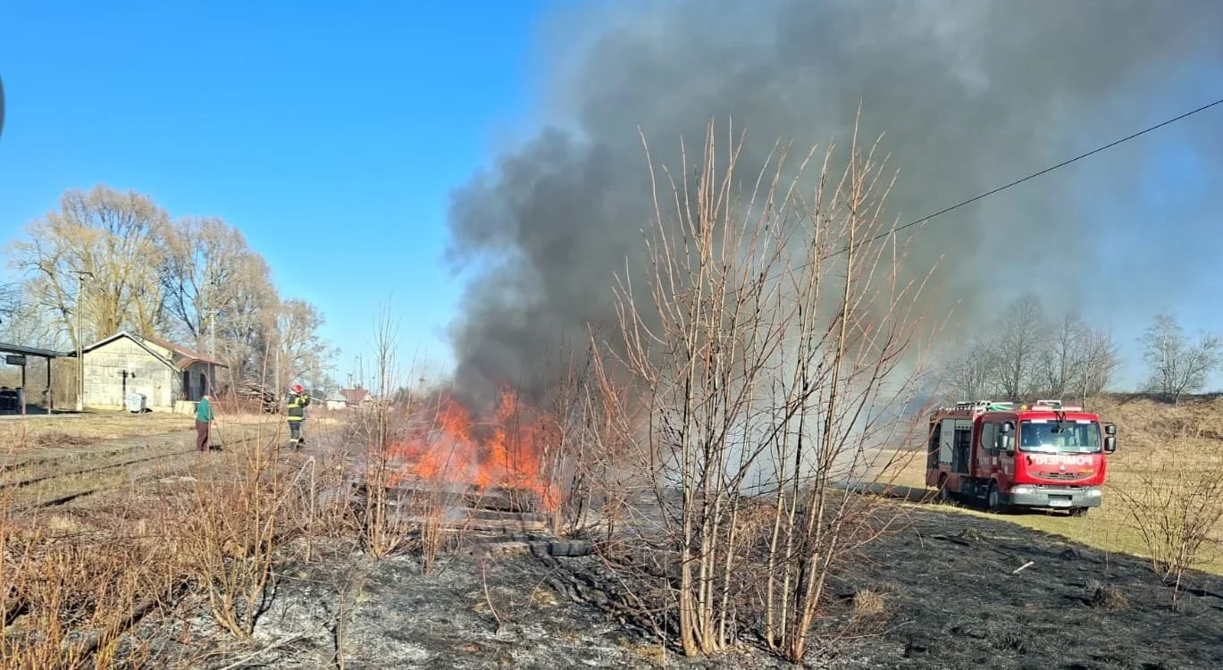 16 Incendii de vegetație în 24 de ore