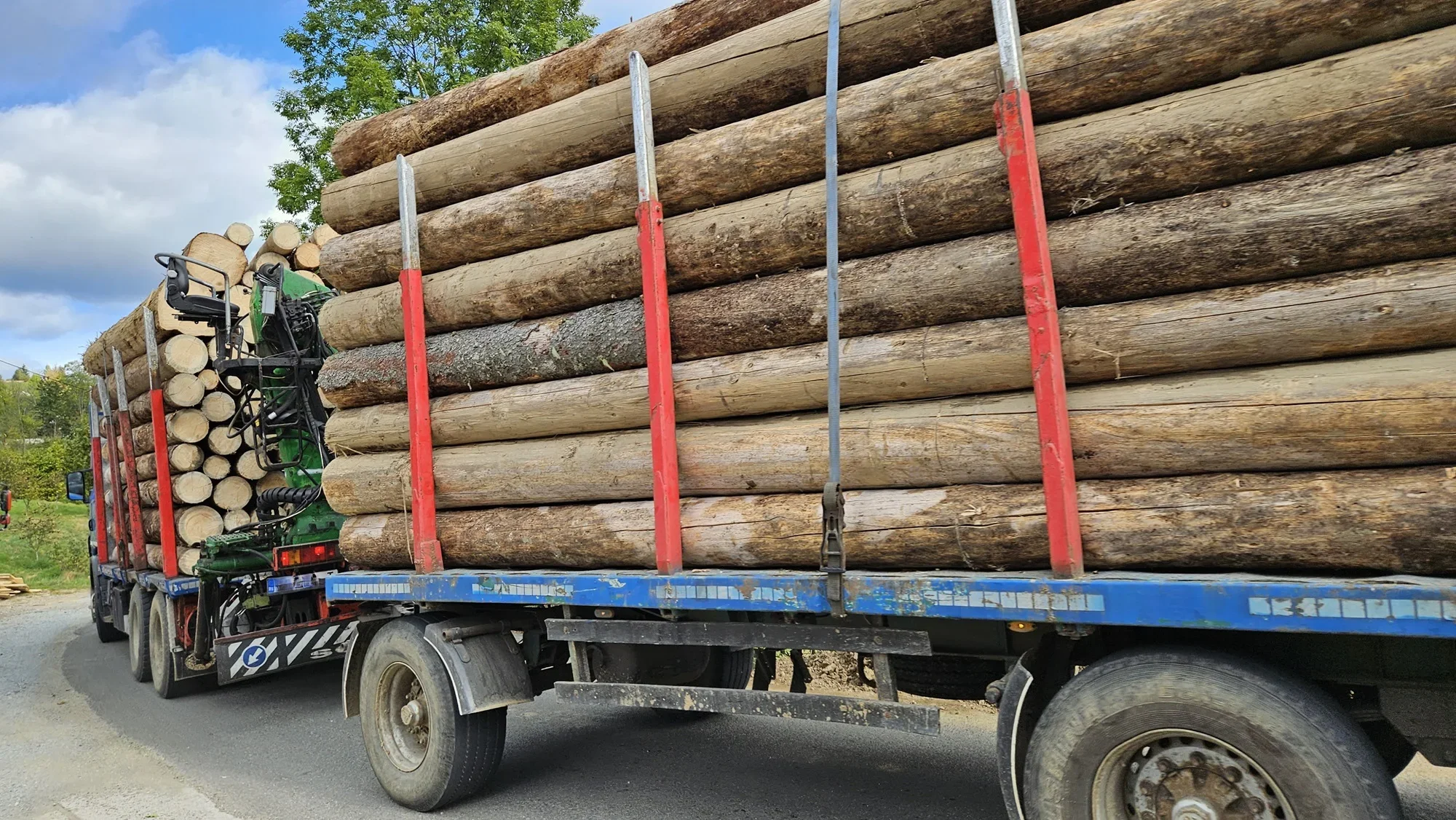 STOP transporturilor ilegale de lemn!